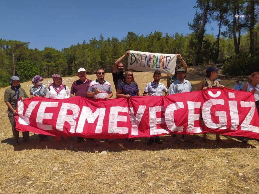 MUĞLA’DA AKBELEN ORMANI DAVASINDA ‘YÜRÜTMEYİ DURDURMA’ KARARI KALDIRILDI, ÇEVRECİLER TEPKİLİ: 