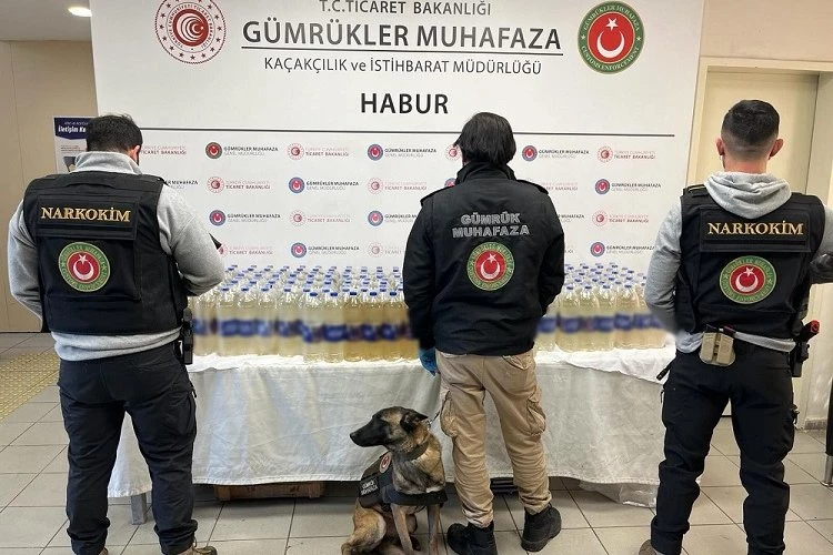 Habur Gümrük Kapısı