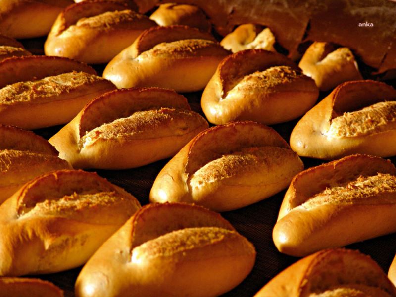 Ankara Büyükşehir, Halk Ekmek’in Günlük Üretim Verilerini Yayımlamaya Başladı