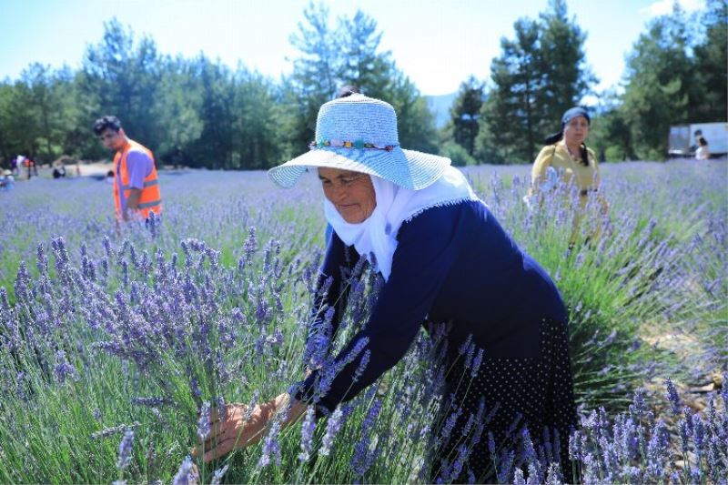 Muğla