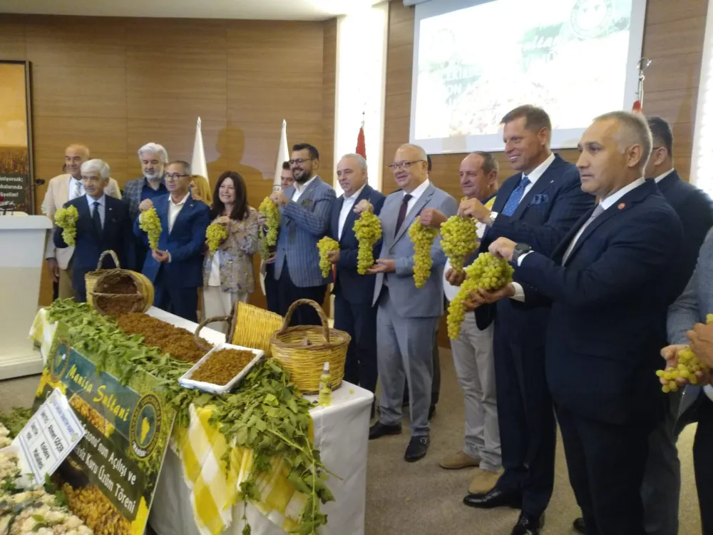 Manisa çekirdeksiz kuru üzümde ilk mahsul sahibini buldu