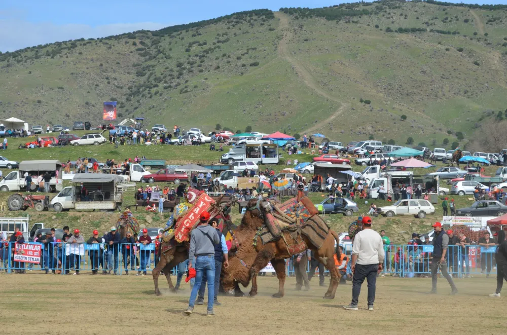 DEVE GÜREŞİ HEYECANI SARIGÖL’Ü SARDI