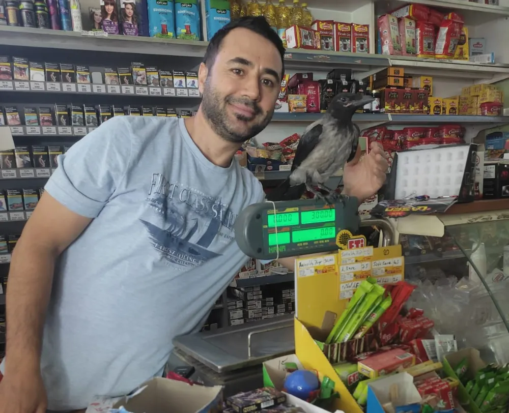 Görenler şaşıp kalıyor! Salihli’de Marketçi ve karganın ilginç dostluğu