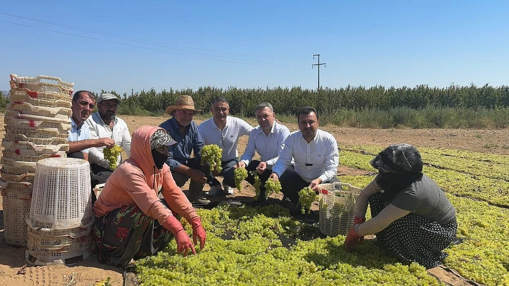 CHP’li Başevirgen’den TMO’ya Çağrı: “Üzüm Taban Fiyatı Açıklansın, Çiftçi Rahat Nefes Alsın”