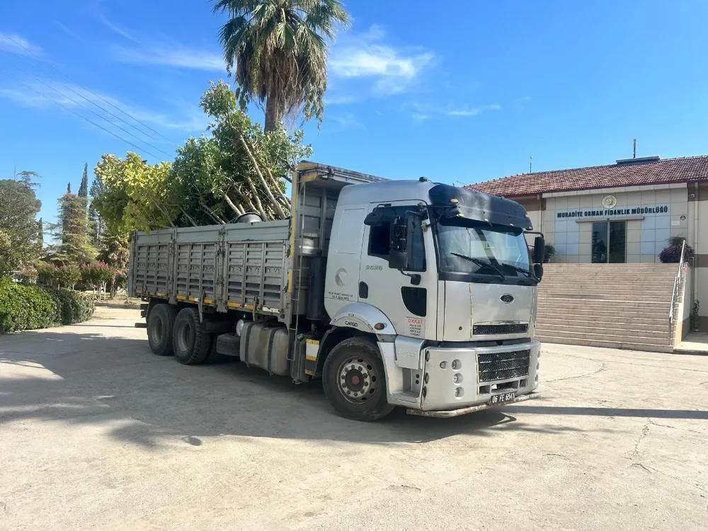 Muradiye Fidanlığından 25 Bin Fidan Beştepe Millet Ormanına
