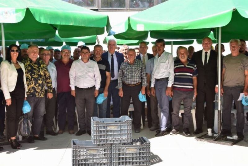 Manisa üreticilere 72 bin zeytin kasasini dagitti