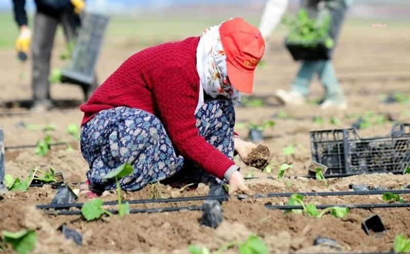 2022 YILI TARIM DESTEKLERI AÇIKLANDI: ÇIFTÇILERE DESTEK ÖDEMELERI 2023 YILINDA YAPILACAK