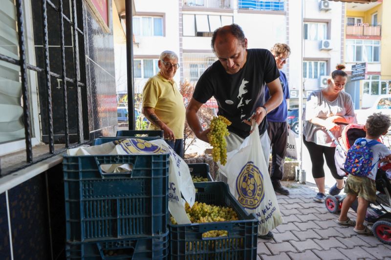 BUCA BELEDIYESI, BAG BOZUMU BEREKETINI YURTTASLA PAYLASTI