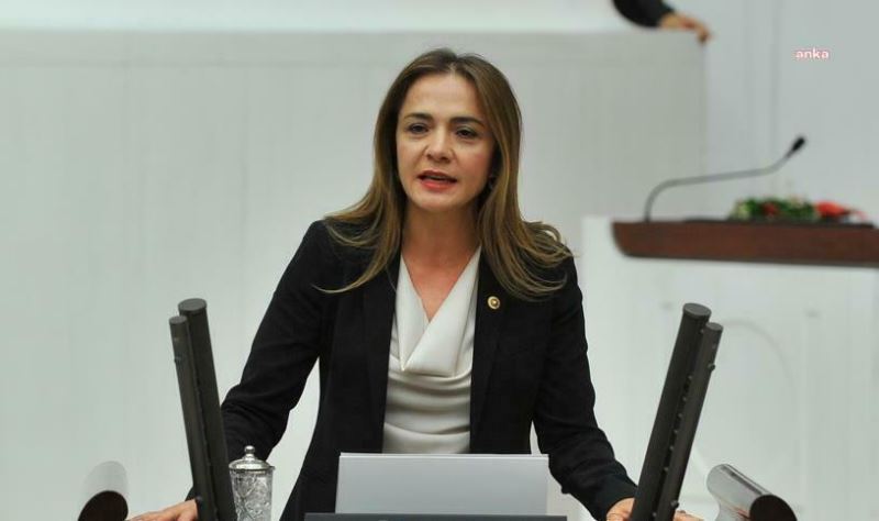 CHP’li İlgezdi: Sağlık Komisyonu Covid-19 Pandemisinde 2 Kere Toplandı