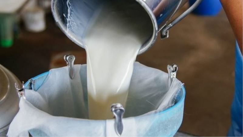 Çiğ Süt Fiyatına Zam Mı Geliyor?