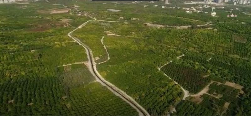 Danıştay, Mersin Mezitli’de ‘acele kamulaştırma’ kararını iptal etti: Olağanüstü durum da yok, kamu yararı da yok