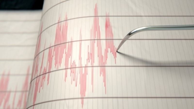 Google, Alanya depremini 1 dakika önce haber verdi!