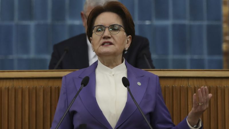 Prof. Dr. Yeldan