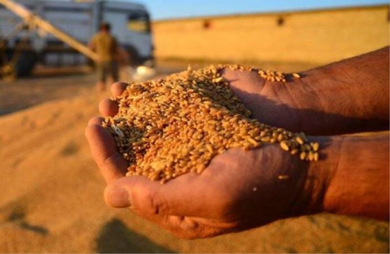 TMO Buğday, Arpa ve Mısıra Yaptığı Zamları Geri Çekti