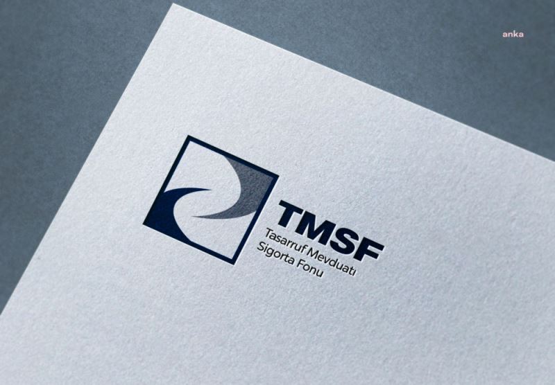 TMSF, AYNES GIDA