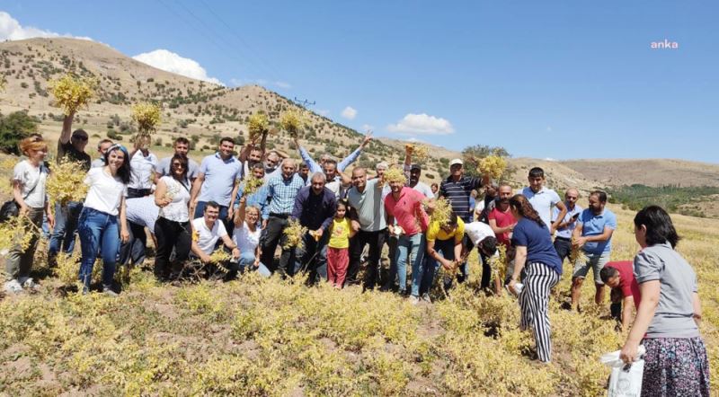 TUNCELİ BELEDİYE BAŞKANI FATİH MEHMET MAÇOĞLU: 